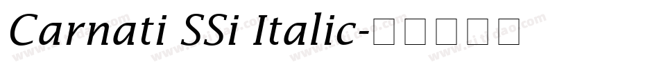 Carnati SSi Italic字体转换